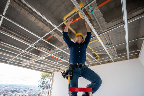 Best Clogged Drain Plumber  in West Miami, FL