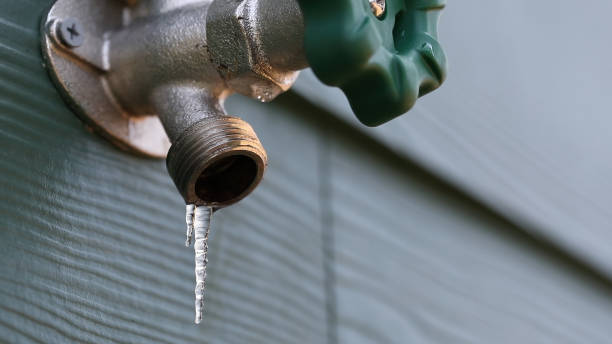 Best Affordable Plumbing Services  in West Miami, FL